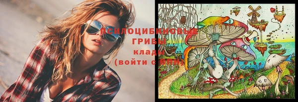 PSILOCYBIN Магас