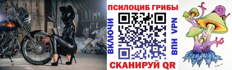 даркнет клад  Абаза  Псилоцибиновые грибы Psilocybe 