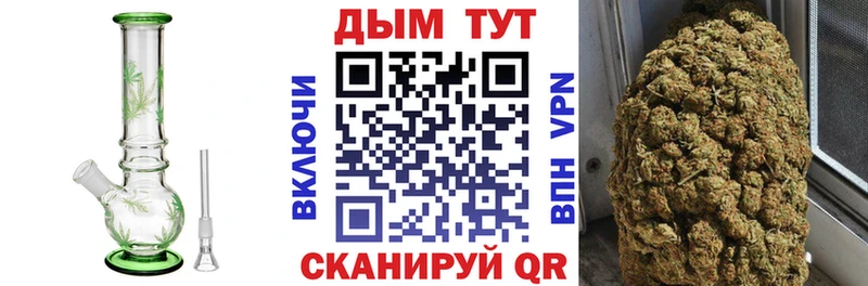 Бошки Шишки семена  OMG ТОР  Абаза 